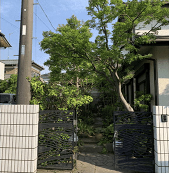 人吉市 刈り込み枝落とし